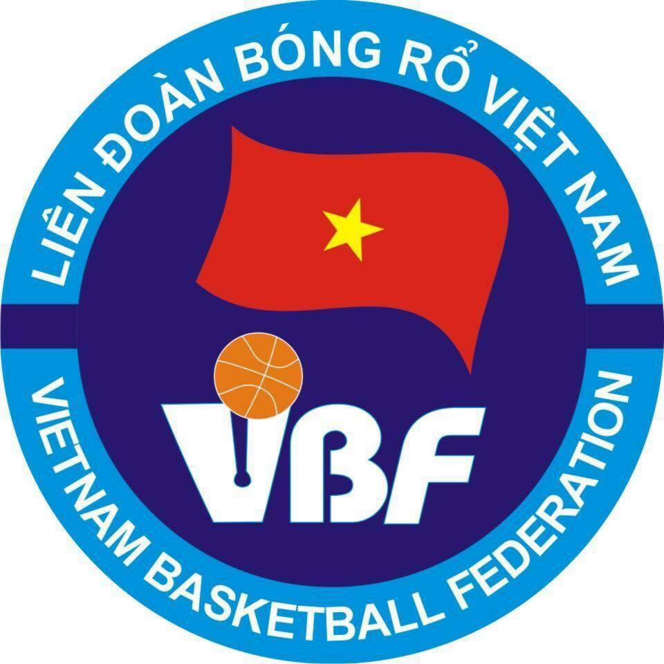 Vietnam 0-Pres Primary Logo iron on heat transfer
